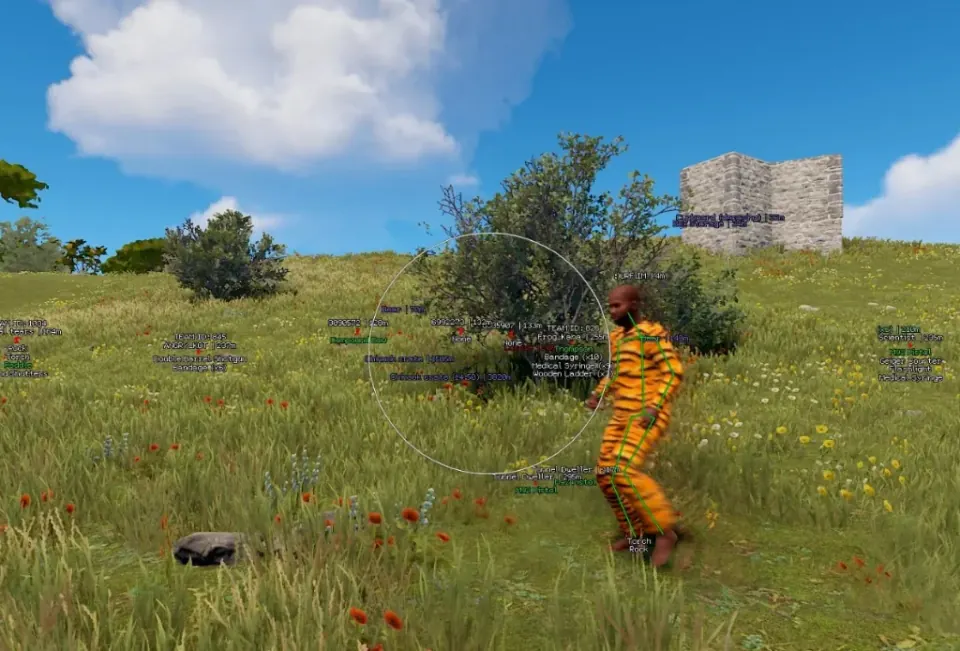 Rust ESP overlay with skeleton ESP, loot labels, and aimbot FOV circle